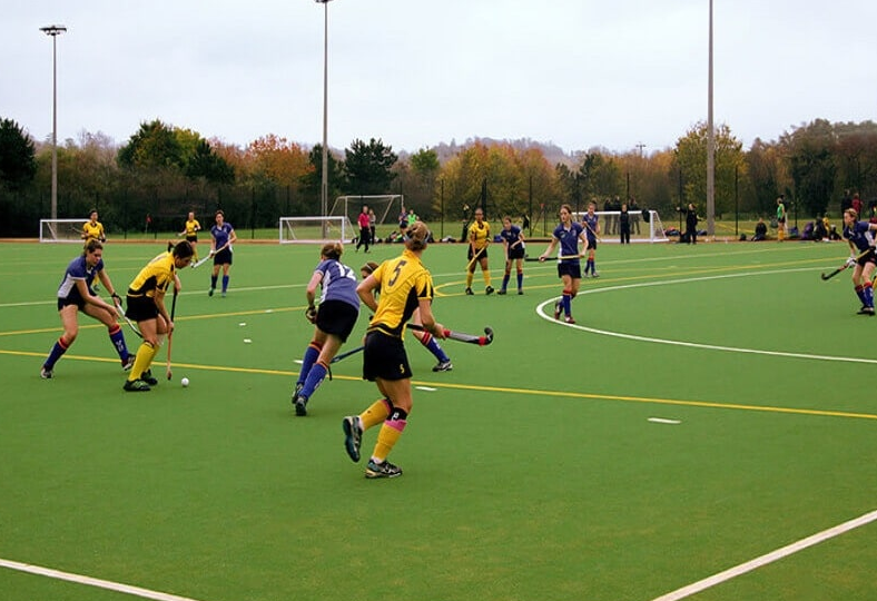 Các loại kèo phổ biến của khúc côn cầu trên cỏ