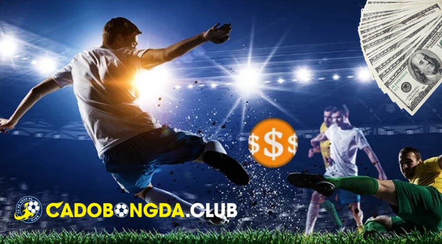 Hoàn Tiền Cá Cược